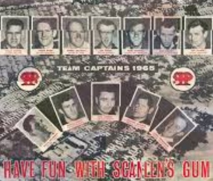 1966 scanlens jigsaw pic1