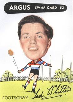 1954 argus ted whitten
